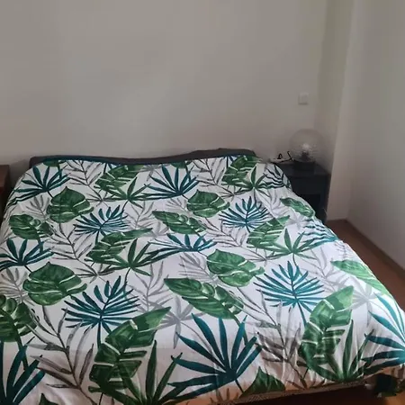 Proche De Kaysersberg Et Du Blanc *