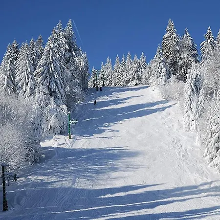 Διαμέρισμα Proche De Kaysersberg Et Du Blanc