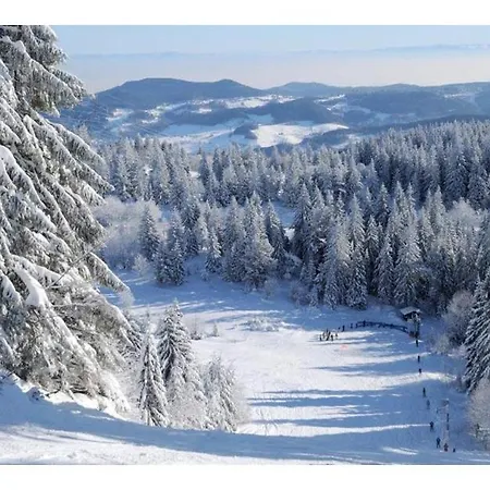 Proche De Kaysersberg Et Du Blanc *